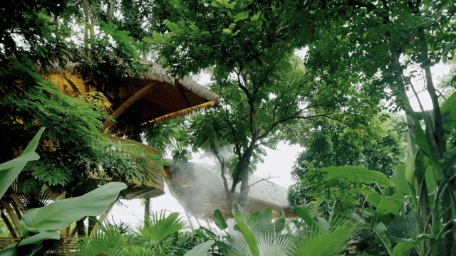 5.gif