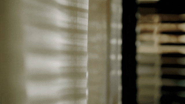 62.gif